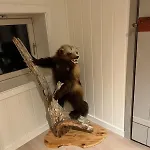 Σπίτι διακοπών Gammel Hus *