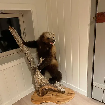 Дом отдыха Fjordhuset Pa Helgelanskysten *